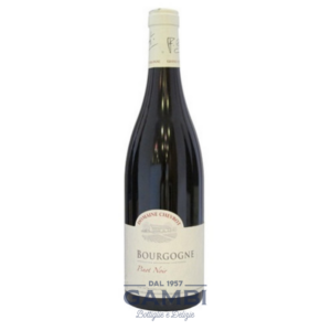 Bourgogne Pinot Noir 2020 Domaine Chevrot 75 cl / Enoteca Gambi