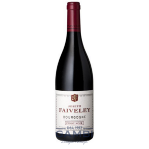 Bourgogne Pinot Noir 2021 Domaine Faiveley Magnum 150 cl / Enoteca Gambi