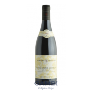 Nuits-St.Georges 1er Cru Les Cailles 2020 Domaine Chevillon 75 cl / Enoteca Gambi