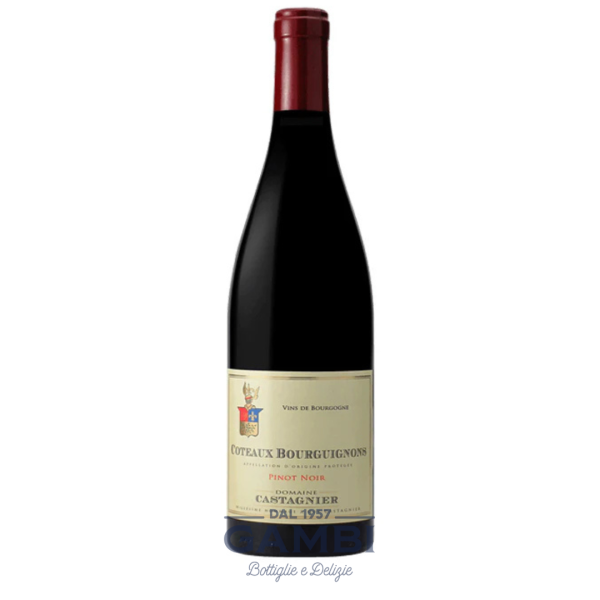 Pinot Noir Coteaux Bourguignons 2022 Domaine Castagnier 75 cl / Enoteca Gambi