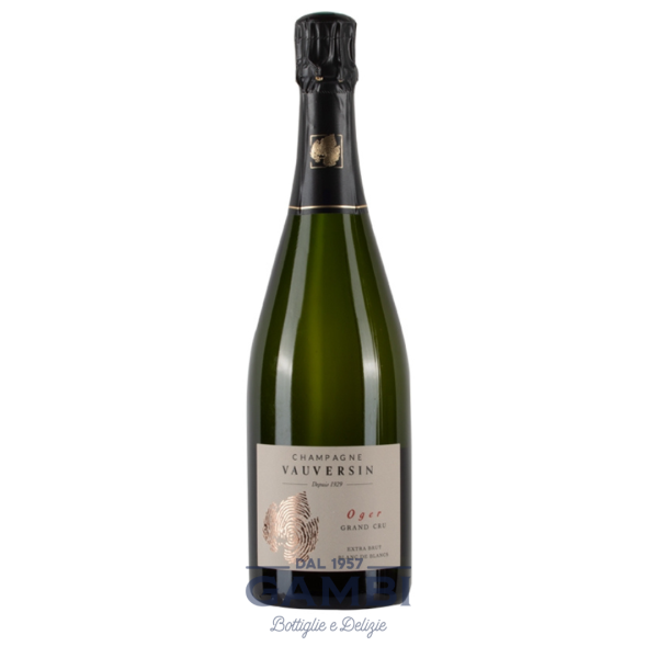 Champagne Extra Brut "Original" Vauversin 75 cl / Enoteca Gambi